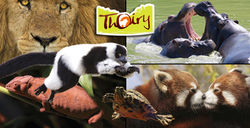 Parc zoologique de Thoiry