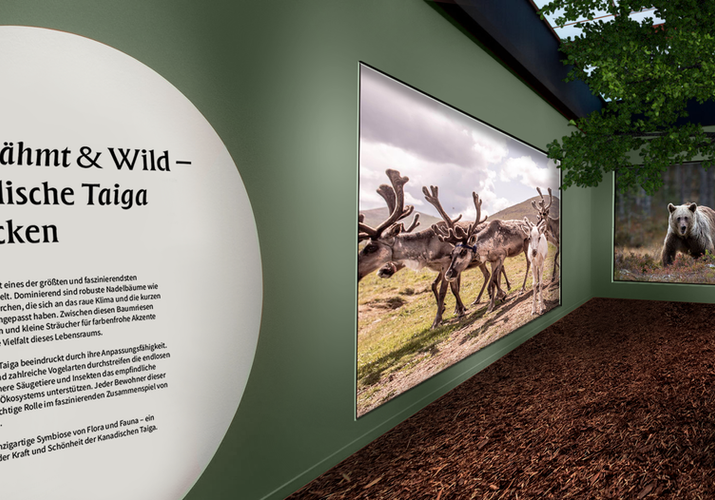 Ansicht einer Ausstellung mit dem Thema Natur und Wald.