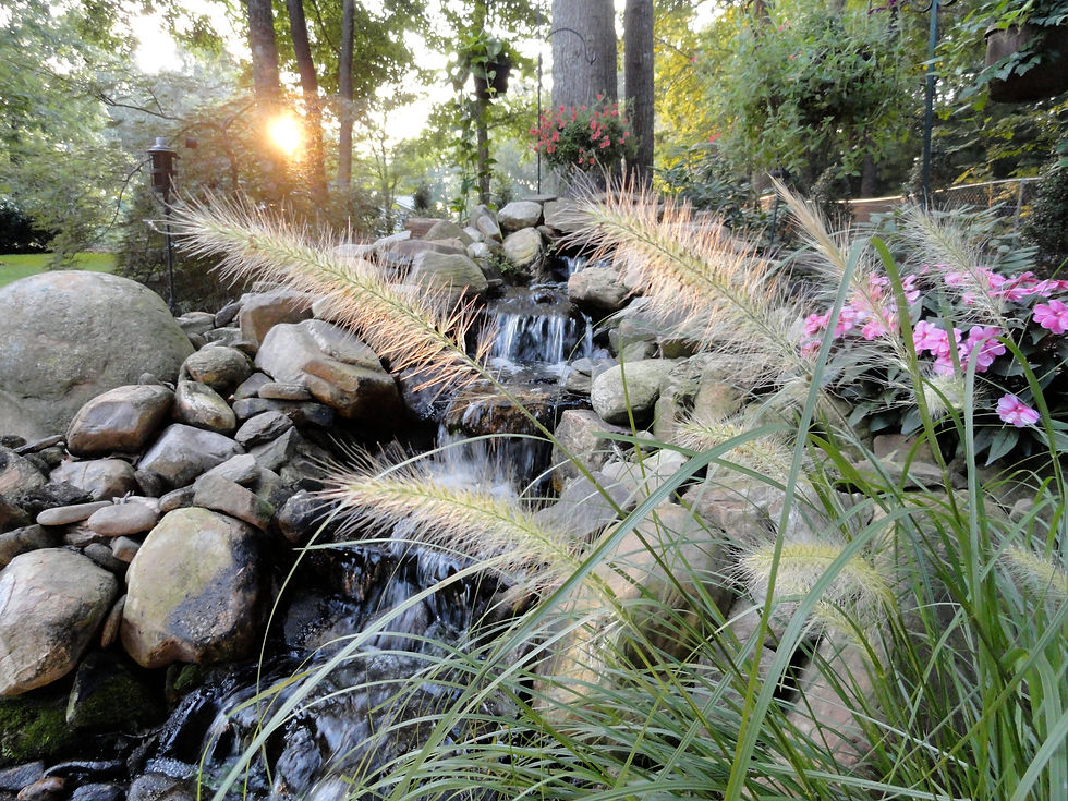 Waterfall and pond with plants