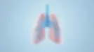 DOT Respiratory Standards: Maintaining the "Oxygen" of the Industry