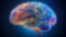 DOT Psychological and Mental Health Screening