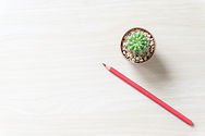 Scrifted.co