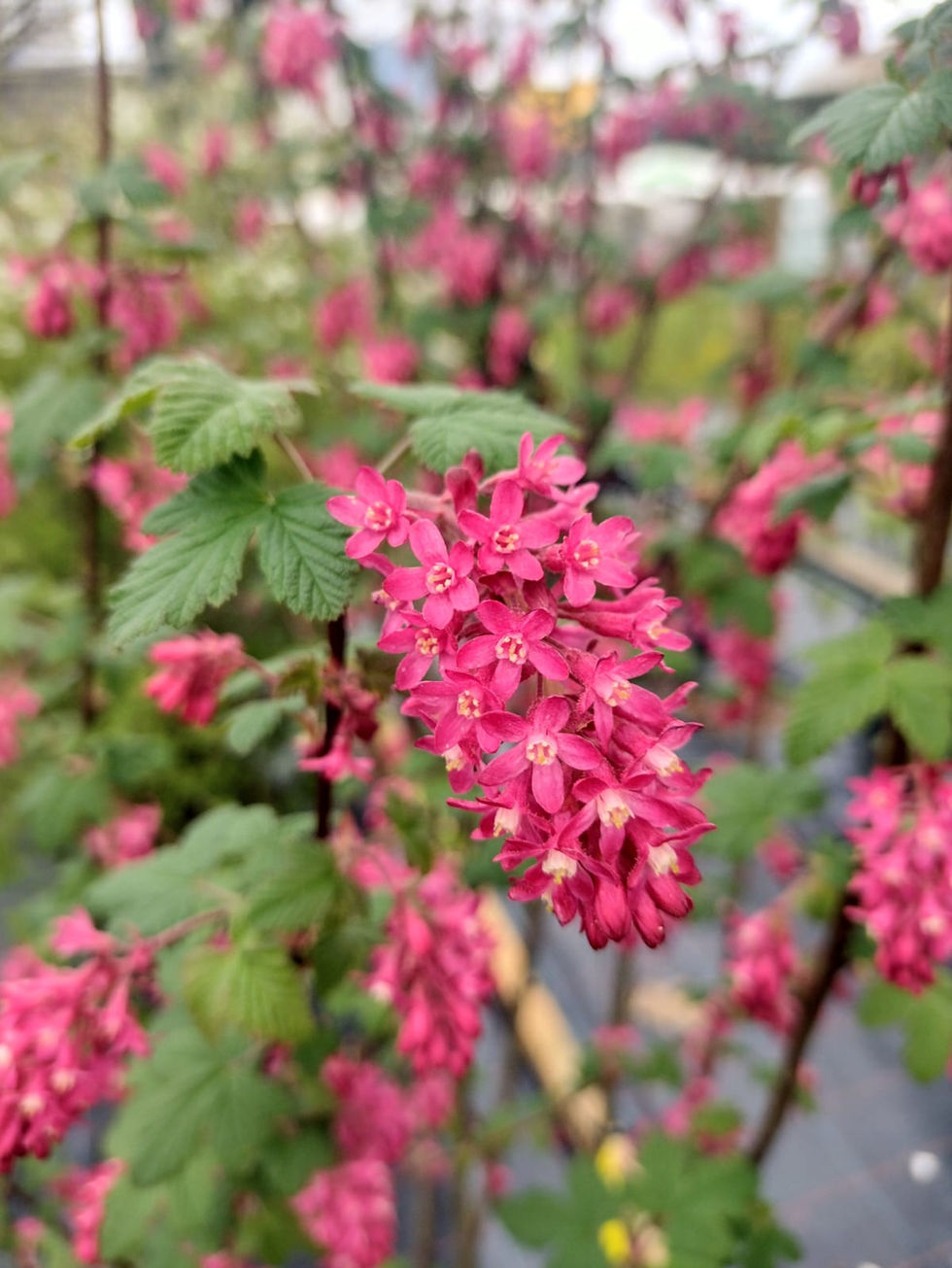 WhatsApp Image 2024-11-03 at 21.25.40