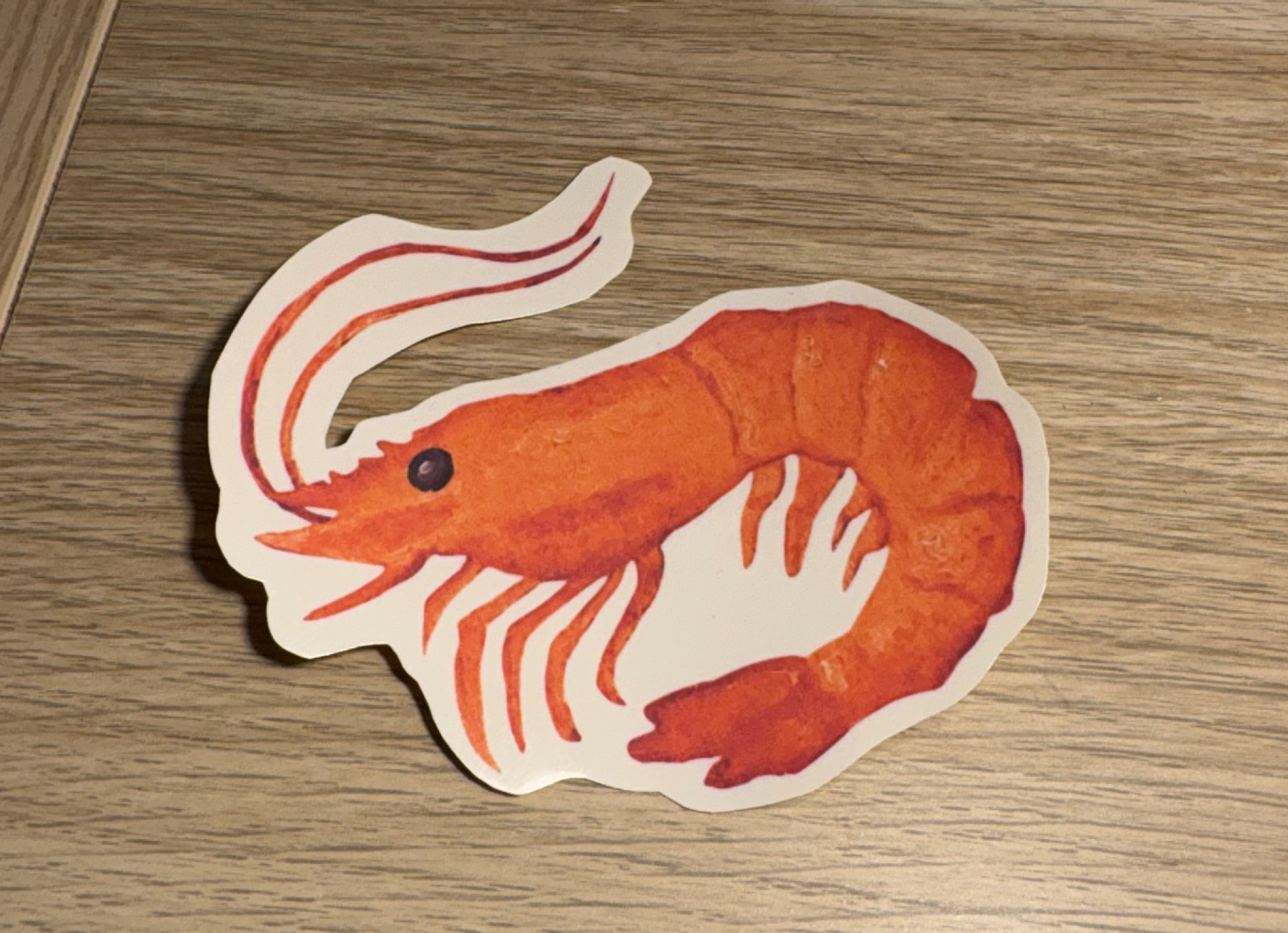 Shrimp Sticker
