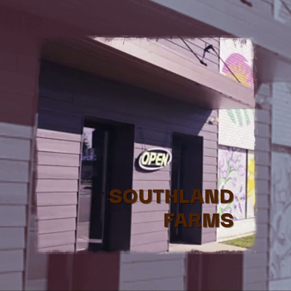 My video.mp4
