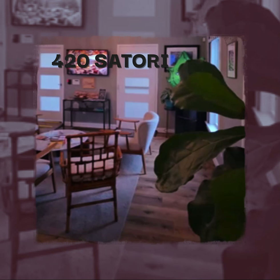 My video.mp4