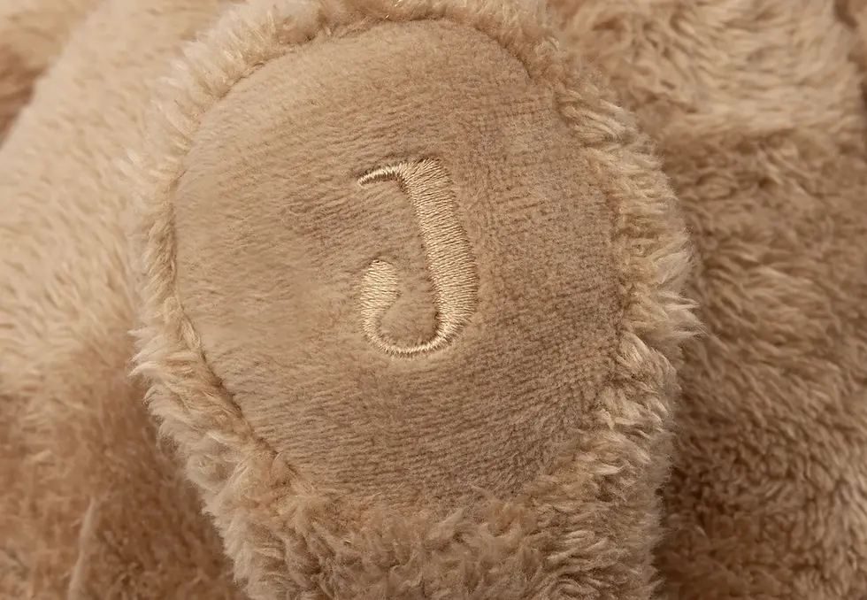 Miniature : Peluche bear brave Jollein