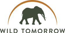 Wild+Tomorrow_logo_color_large.png