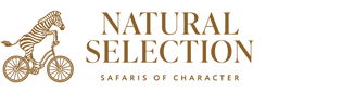 Natural-Selection_RGB_Primary-Logo_Dark-Gold-2.png
