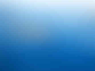 large whale shark swimming at the surface