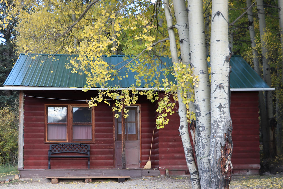 Big New Cabin