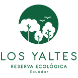 Création prochaine de la fondation 'Los Yaltes'