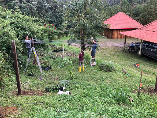 VOLUNTEERS IN LOS YALTES, Marie, Tom, Till and Pedro stayed 15 days to help us in a good spirits...