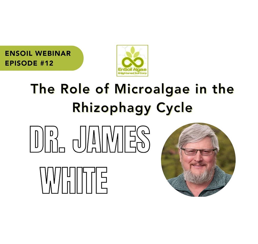 #12 - The Role of Microalgae in the Rhizophagy Cycle with Dr. James White