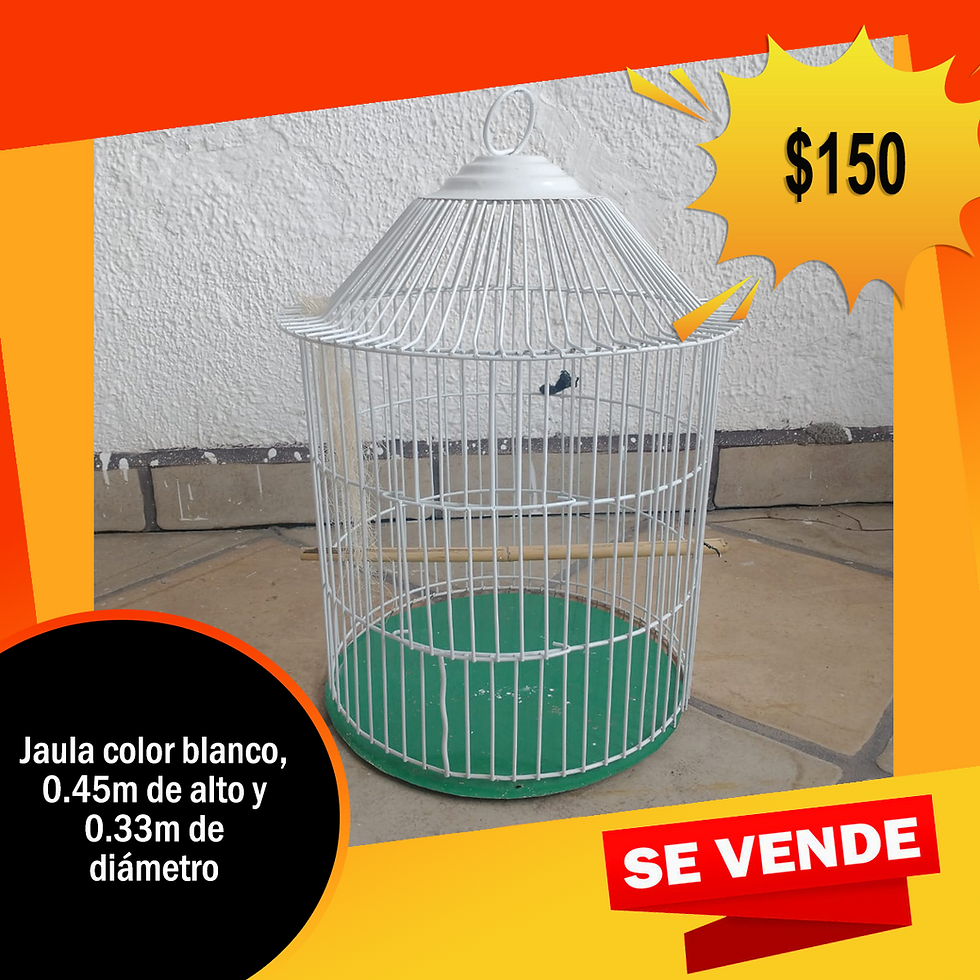 JAULA 4