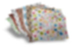 IAW-JR-PRESS-White-fan.jpg