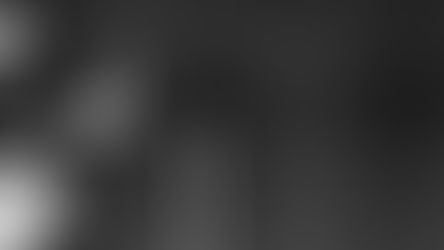 Introducción general a la Pelota Vasca