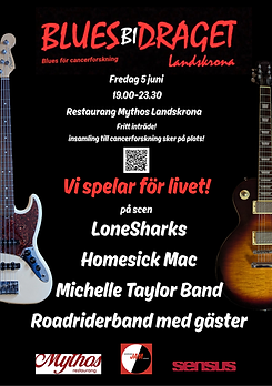 Bluesbidraget 2026 QR.png