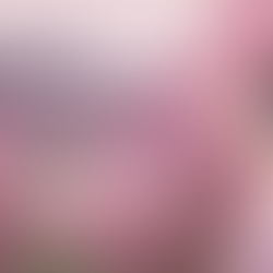 When Boundaries Slip: A guide to realigning with your power