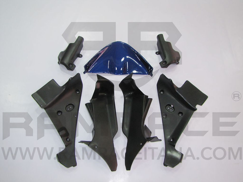 Miniatura: KIT carena HONDA CBR 900RR 98-99 - Stelle americane