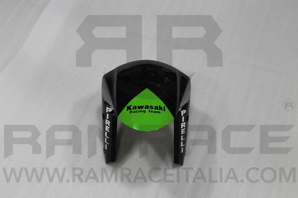 Miniatura: carena KAWASAKI NINJA ZX-6R 636 09-12 Replica Leovince