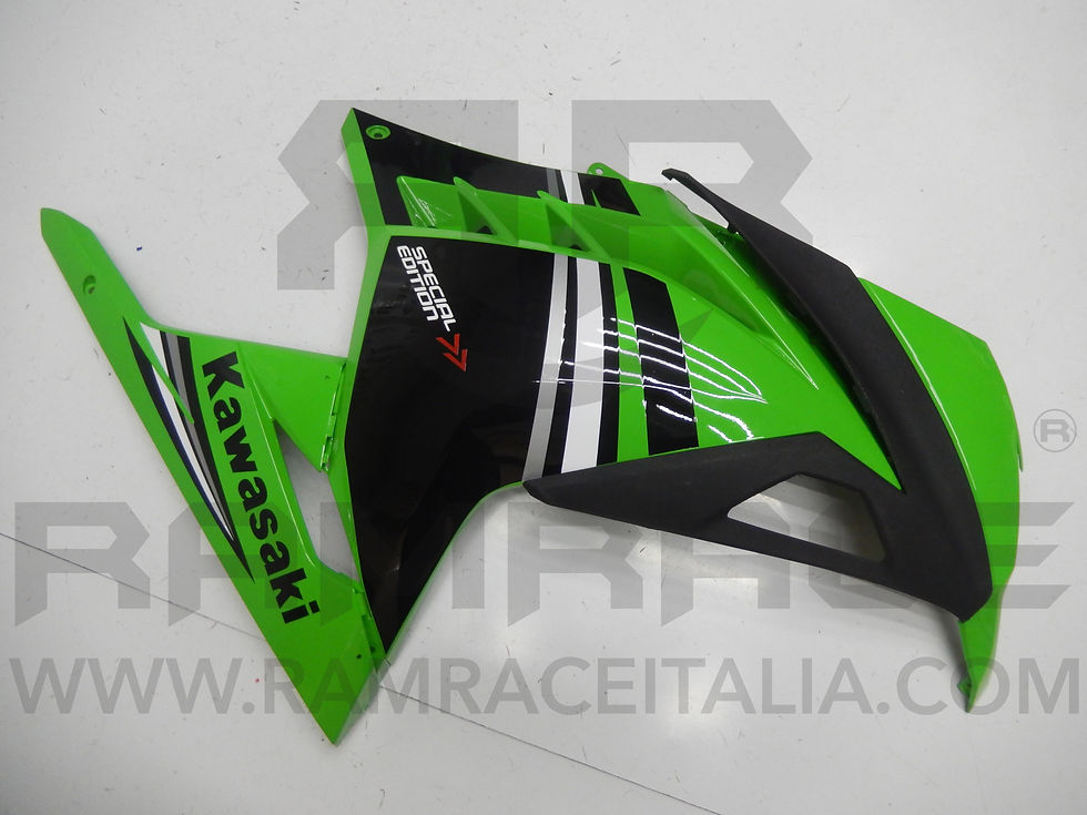 Thumbnail: KIT carena KAWASAKI EX300R NINJA 2013 - NERO verde