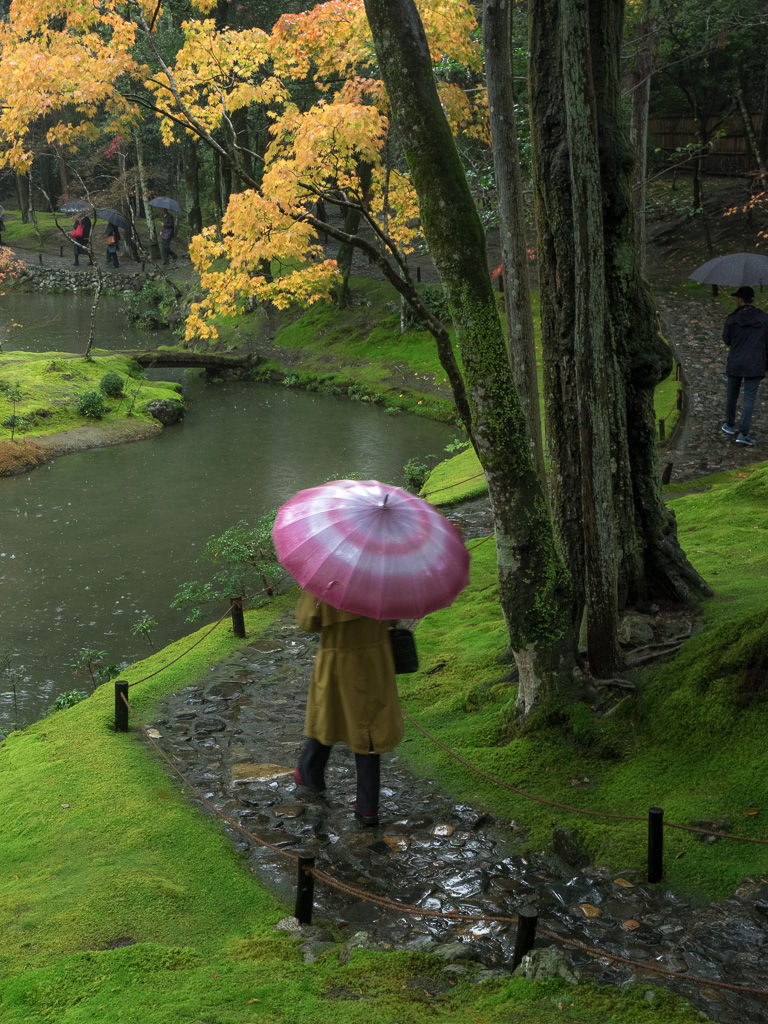 Kyoto 2015-174