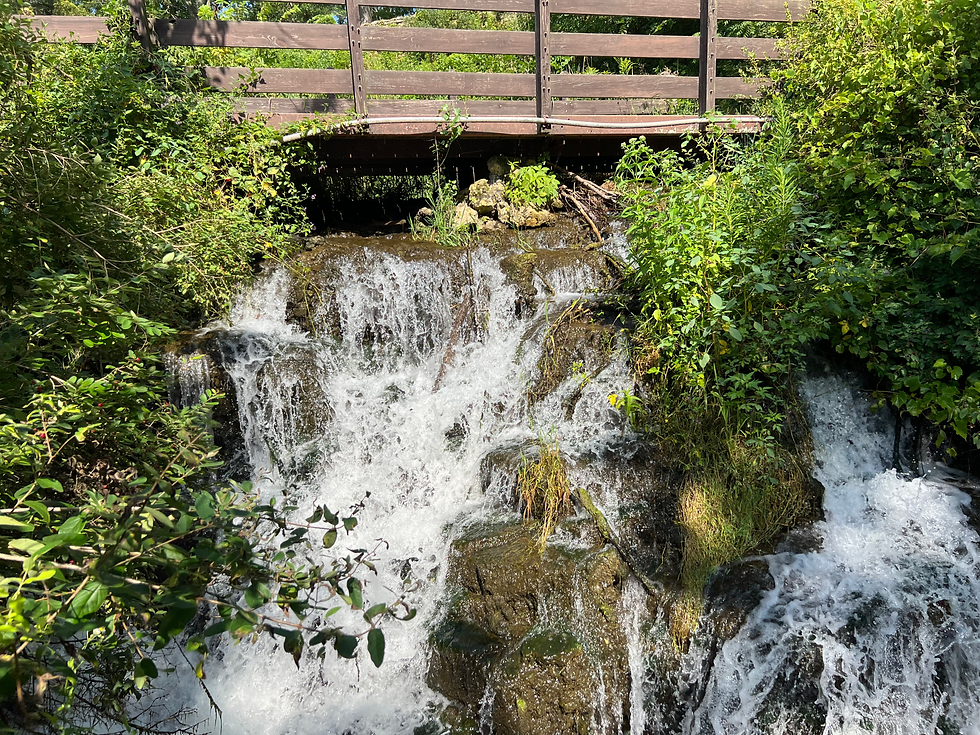 Governor Dodge State Park Fresh Spring.png