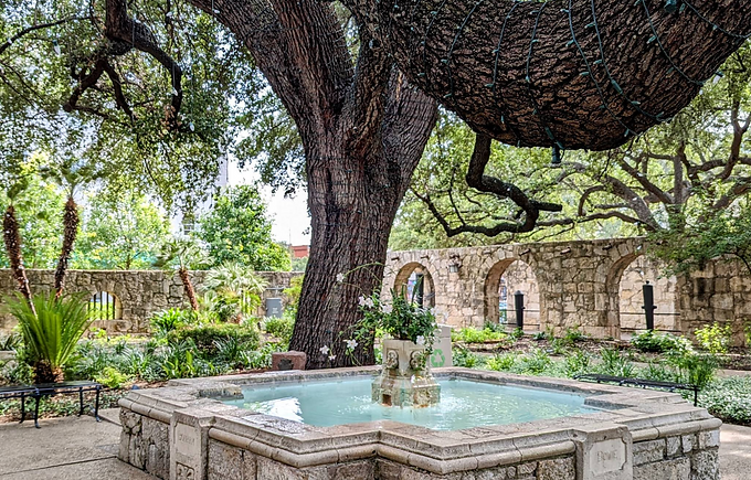 The Alamo