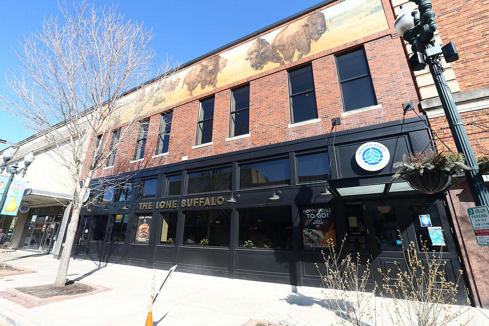 Lone buffalo Exterior