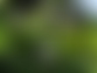 Inaugurem la nova temporada amb un 50% de descompte!