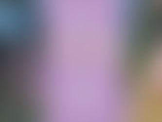 A l’estiu, oberts cada dia!