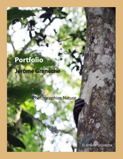 portefolio GRENECHE J