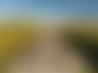 Pilgrimage by Marlene Millar