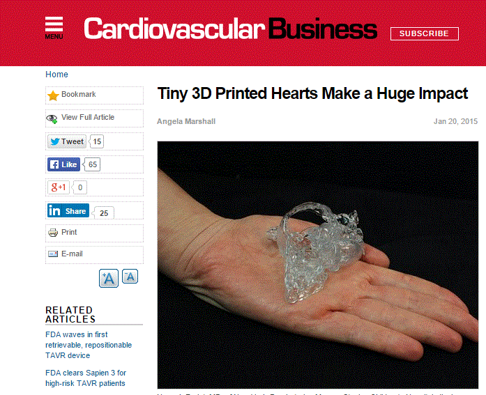 Cardiovascular Business - 3D Hearts