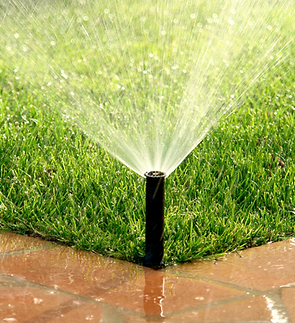 Untitled design (8).png