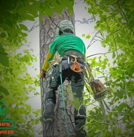 Medrano's Tree Service Form Background.webp