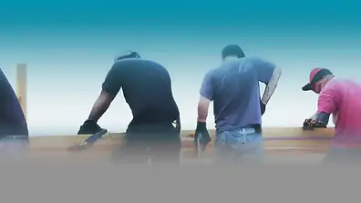 Lion Deck Builder service 1565X576.webp