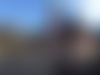 The home of the Frankfurter and The City of Science