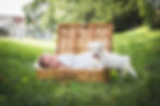 AJ Newborn 2023-29.jpg