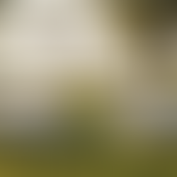 How We Planned a 200-Guest Naivasha Garden Wedding for KES 1.5M (Itemized Breakdown)