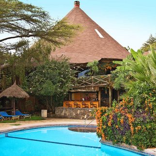 Relax at the Masai Mara Sopa Lodge for your Honeymoon