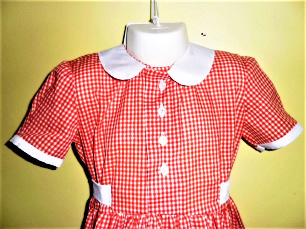 Thumbnail: Red and White Checked School Girls Dress Set
