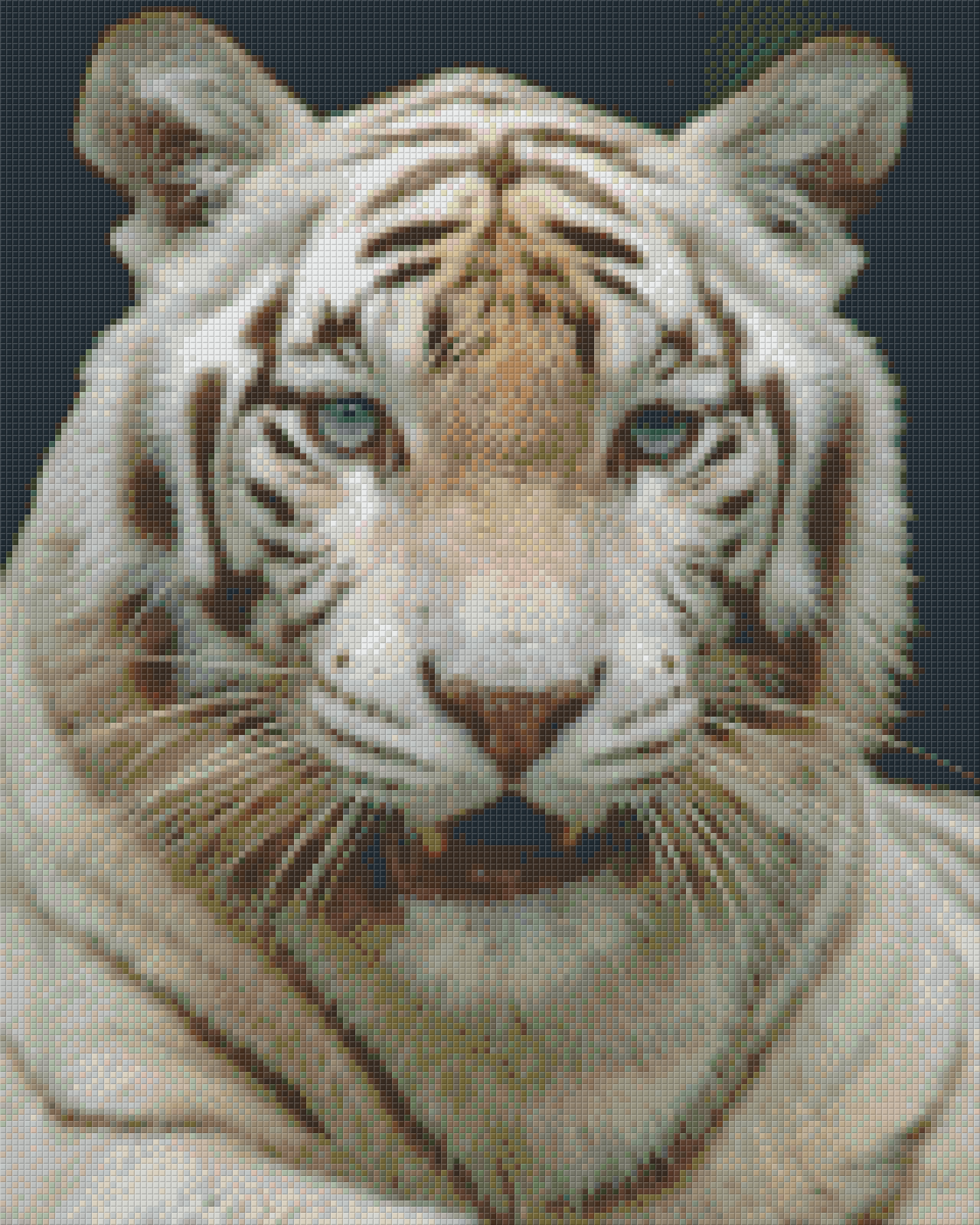 White Tiger 16 Baseplate Kit