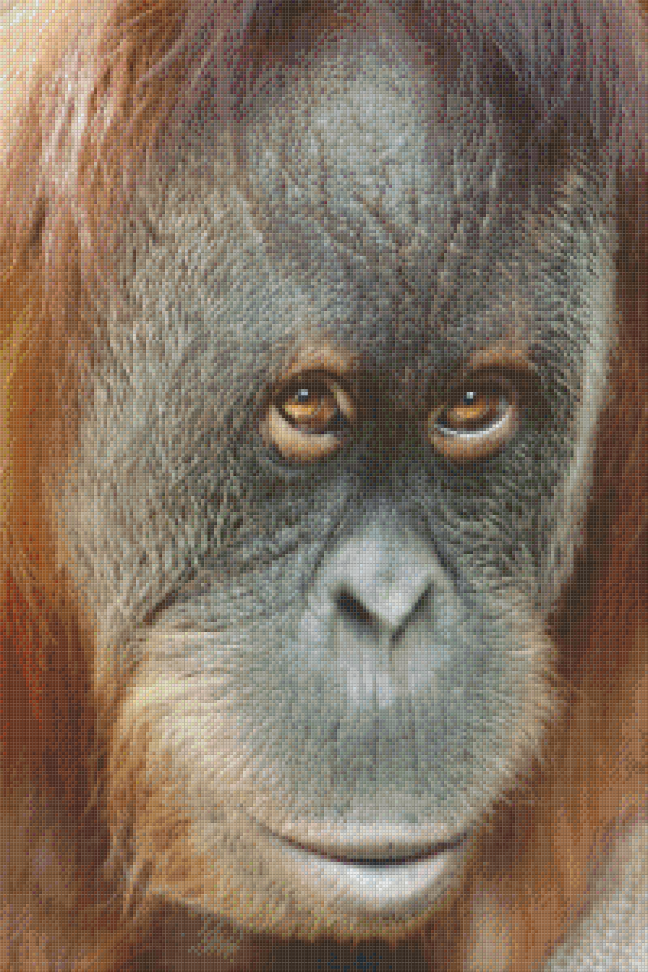 Orangutan 30 Baseplate Kit