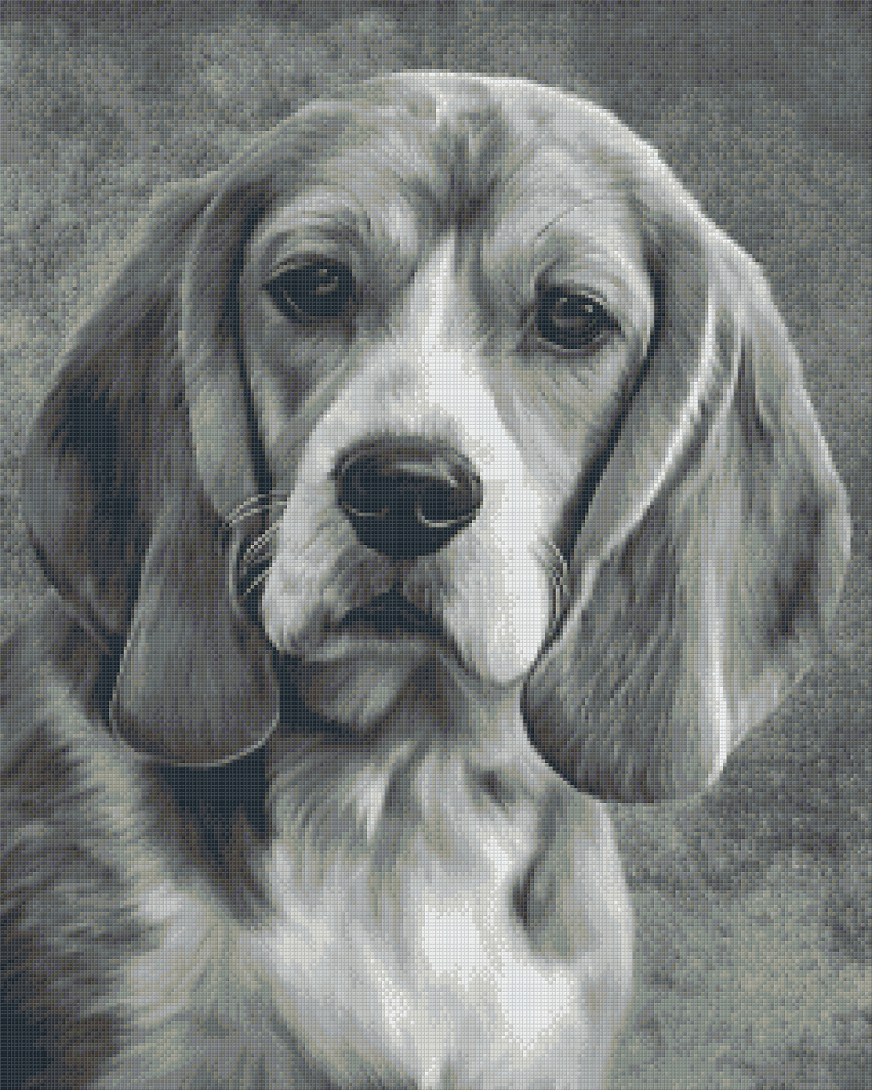 Beagle - Monochrome 36 Baseplate Kit