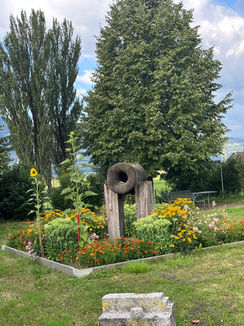 IMG_5109.JPEG