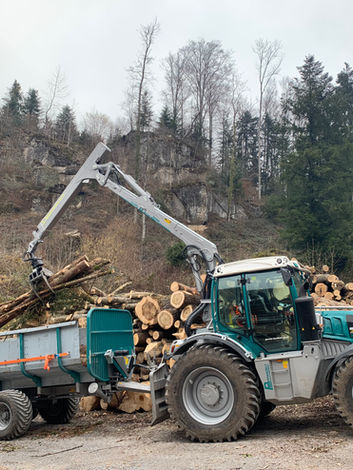Pm-Trac+Rungenwagen-Hackholztransport-2.jpg
