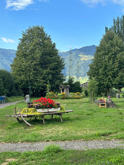 IMG_5108.JPEG
