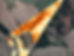 soill_edited.jpg